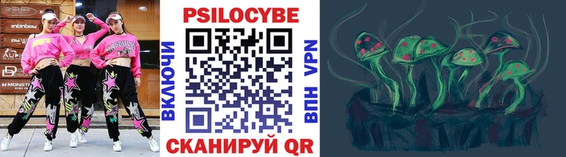 кракен   Свирск  Галлюциногенные грибы Psilocybe 
